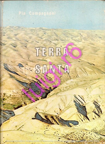 Terra santa pia compagnoni - santa,