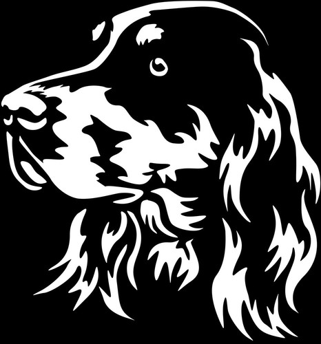 Adesivo gordon setter - adesivo,