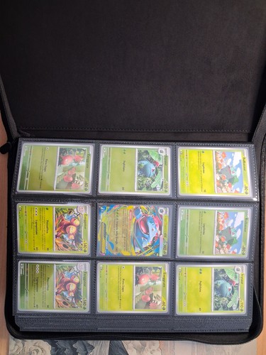 Pokemon master set - master,