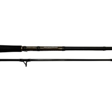 DAIWA Morethan Branzino AGS