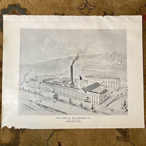 Antica 1893 sterling - antica,