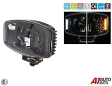 10 " Pois & Bianco LED Ambra