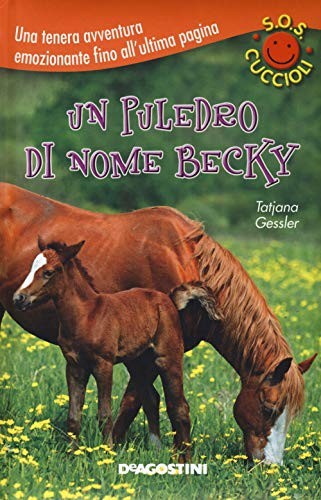Puledro nome becky - un, di