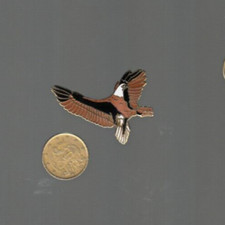 SPILLA VINTAGE SMALTATA AQUILA  IN METALLO SMALTATO