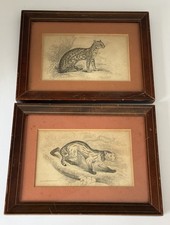 1834 natural history - 1834,