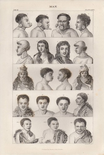 1864 stampa uomo varie - stampa, ~