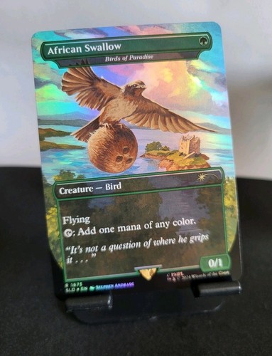 Birds paradise african - of, as