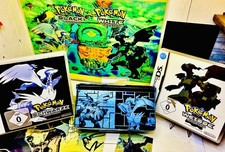 Nintendo DSi X Pokémon