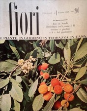 Fiori e piante in giardino in