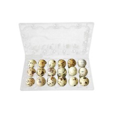 50 Pezzi vaschette portauova