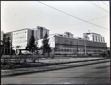 Foto vintage Stabilimento Farmitalia Milano anni 60 Ft 2076 - Stampa 21x27 cm