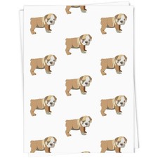 'Cucciolo Bulldog inglese'