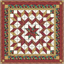 Easy quilt kit galaxy star - easy,