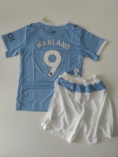 Erlindg haaland manchester - erlindg,