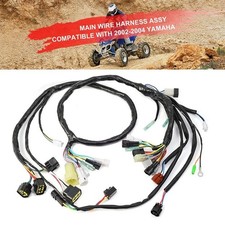 Cablaggio elettrico principale