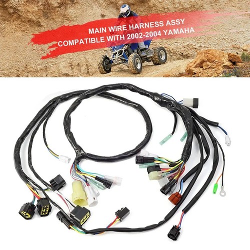 Cablaggio elettrico principale