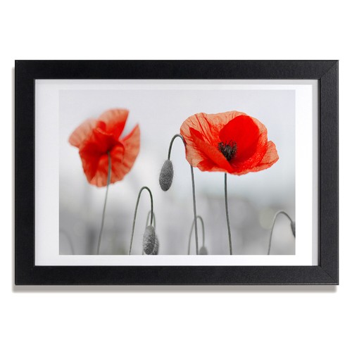 Tulup picture mdf - mdf, framed