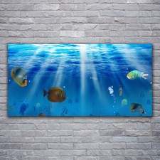 Quadri su Vetro Acrillico