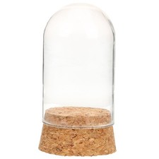 Vetrinette Teca Esposizione