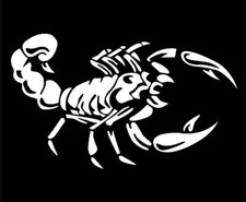 ADESIVO AUTO SCORPIONE BIANCO