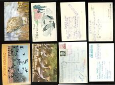 BR1562 SEI  CARTOLINE CON  UCCELLI  VARI - USATE