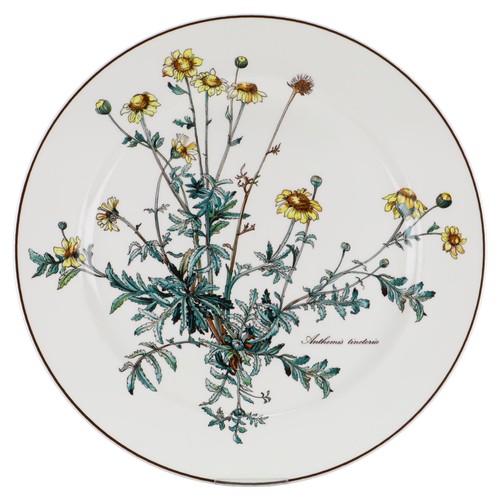 Piatto grande anthemis - grande,