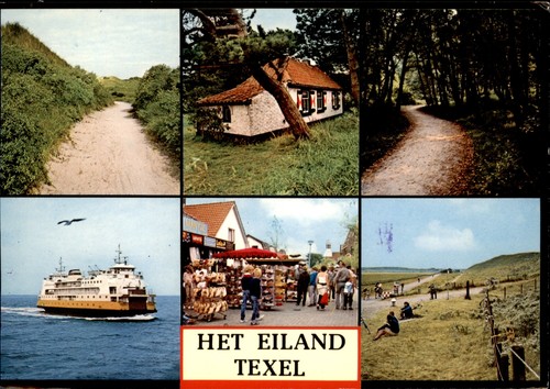 Olanda texel con - texel, motivi
