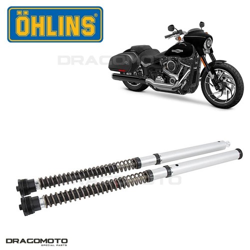 Harley davidson softail sport - harley-davidson,