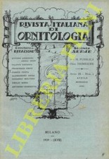 R.I.O. - (Moltoni, Scotti, De
