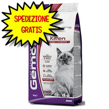 GEMON GATTO KITTEN MANZO E