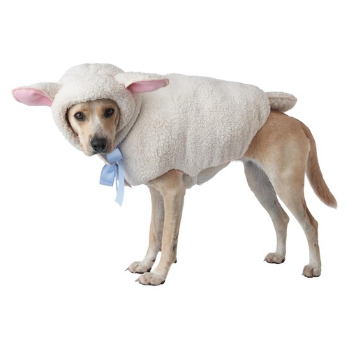 Costume cane pecora - da,