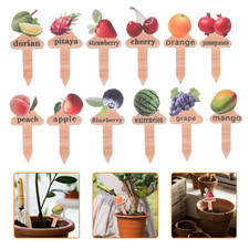  12 pezzi di paletti per