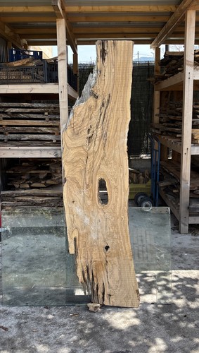 Tavola legno ulivo - tavola,