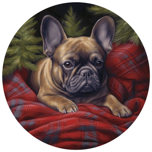 Bulldog francese cane auto