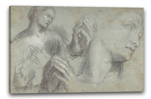 Tela cornice federico barocci - federico,