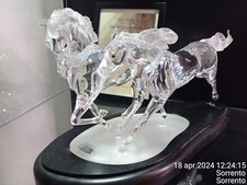 swarovski Cavalli Selvaggi