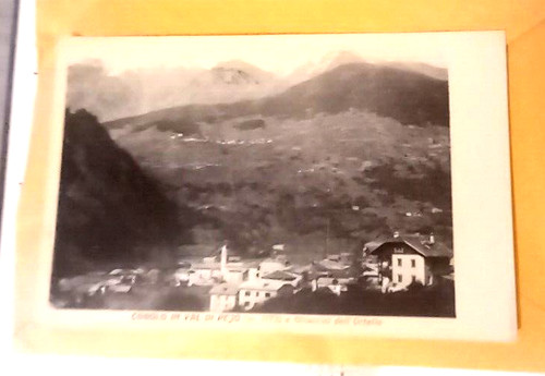 Cogolo val pejo - in,