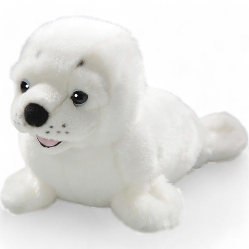Carl dick foca animale di - dick,