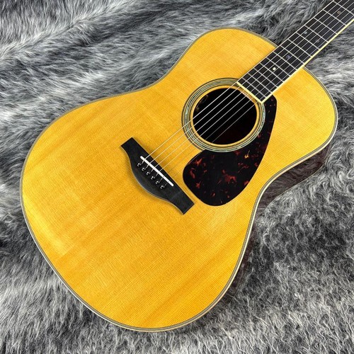 Chitarra acustica elettrica