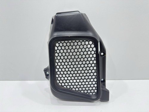 Griglia radiatore paggio - radiatore,