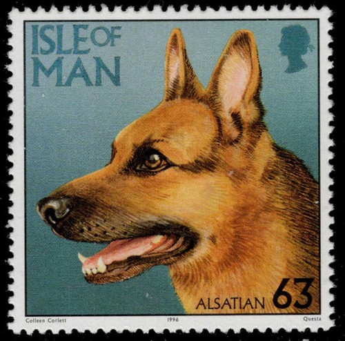 Isle man 720 cani - isle,