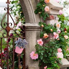 3 Pcs Porta Fiori Vasi Da