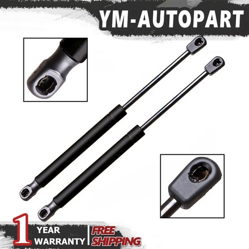 Rear tailgate lift supports - lift,