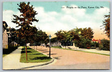 Cartolina d'epoca MO Kansas City pergola su carro cavalli Paseco c1909 ~10429