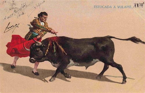 Corrida toros - corrida, de