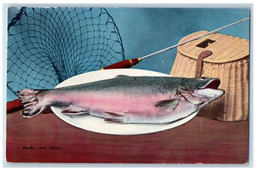 1954 canna pesca rete big - rete,