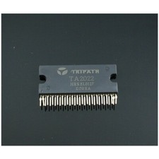 TA2022 Amplificatore di potenza digitale IC