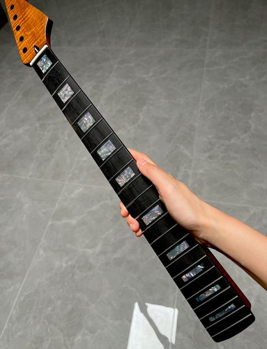 Chitarra elettrica stain ebano - chitarra,