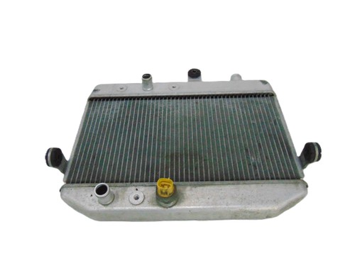 Radiatore acqua suzuki burgman - acqua,