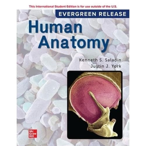 Human anatomy 2024 release - human, anatomy: